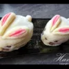 Designer Bunny Mooncake