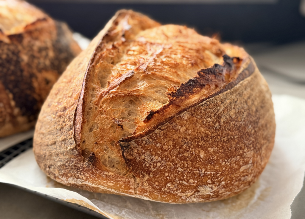 Sourdough Bread