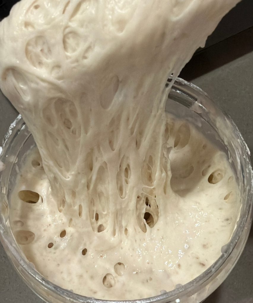 Sourdough Mature starter