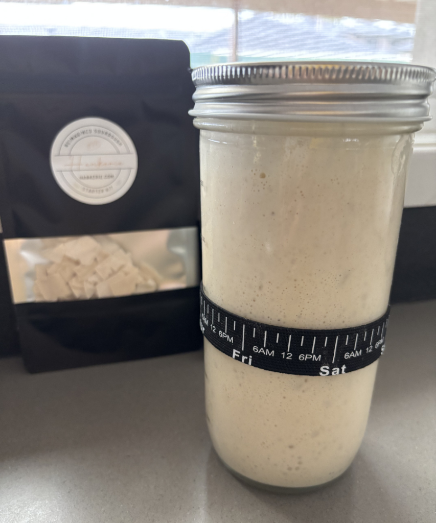 Sourdough Mature starter