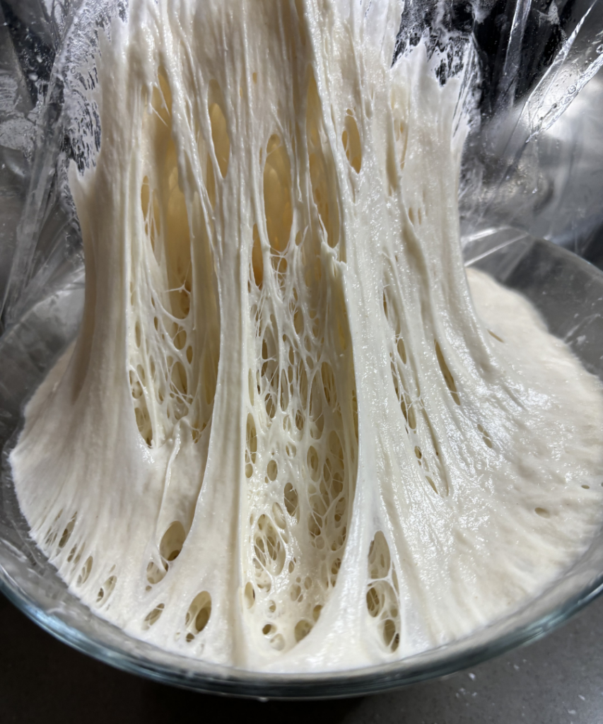 Sourdough Starter