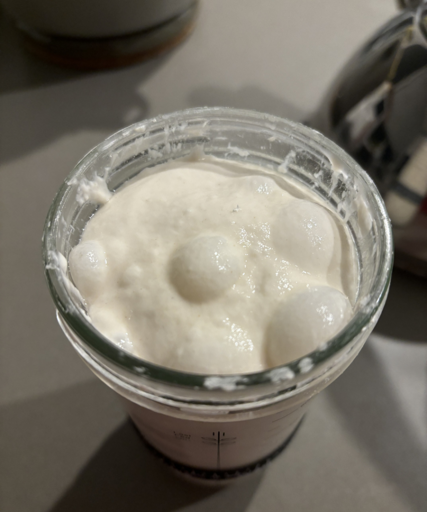 Sourdough Mature starter