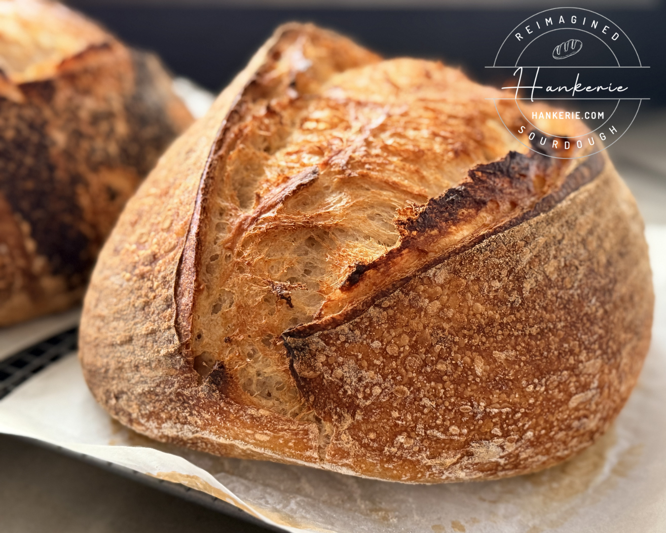 Your First Sourdough Loaf: Mixing, Folding & Shaping for Beginners 